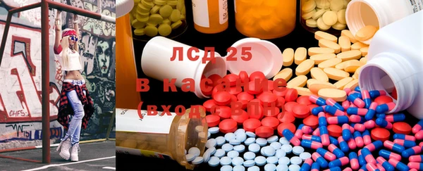 2c-b Пестово